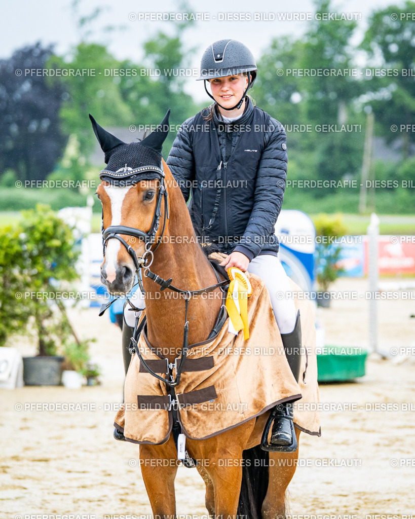 DSC03300 | Pferdegrafie