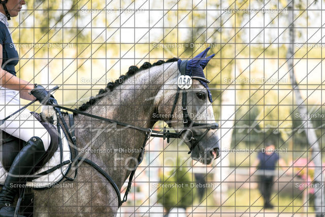 _W6A0160 | ronjaprokoschfotografie - Realisiert mit Pictrs.com
