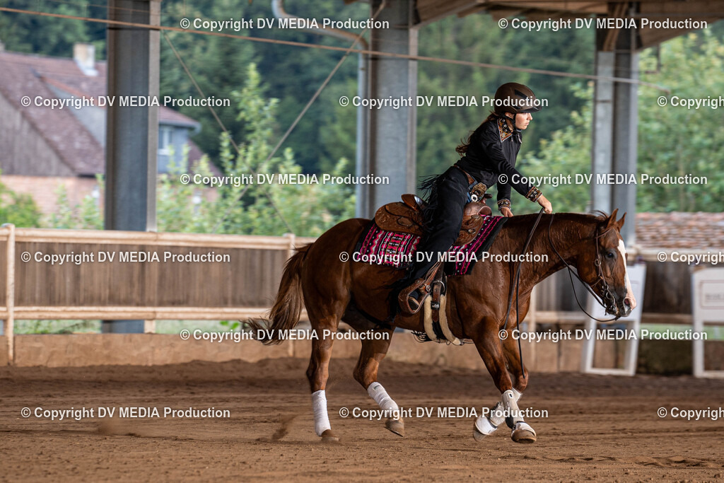 Erbach Tag 1-1235 | dv-media-shop - Realisiert mit Pictrs.com