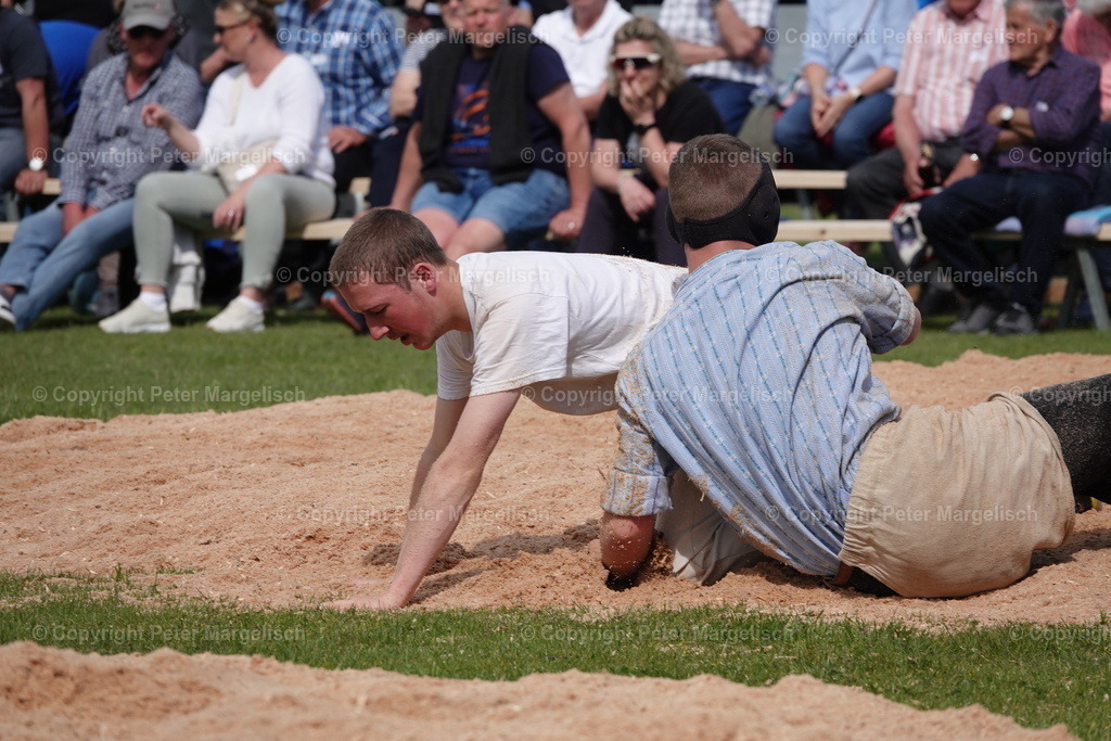 DSC02343 | Schwingen - Realisiert mit Pictrs.com