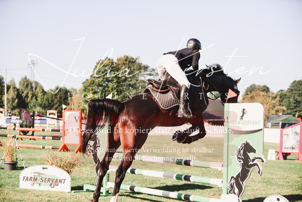 DSC_2260 | Pferde- und Turnierfotografie in Westsachsen. Pferdeportraits, Auftragszeichnungen und intuitive Kunst.