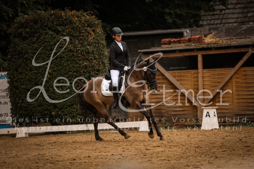 DoDrE00366 | Leoni Ertmer Photography - Realisiert mit Pictrs.com