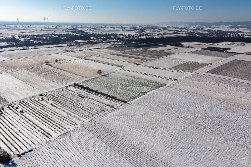 Mit Schnee bedeckte Felder und Obstplantage im Winter | Luftbild: Mit Schnee bedeckte Felder und Obstplantage im Winter im Ortsteil Mühlhofen in Billigheim-Ingenheim im Bundesland Rheinland-Pfalz in Deutschland. Foto: IMG_124784.jpg vom 11.02.2021 durch ©2025 Werner Riehm fly-foto.de/copyright - Realisiert mit Pictrs.com