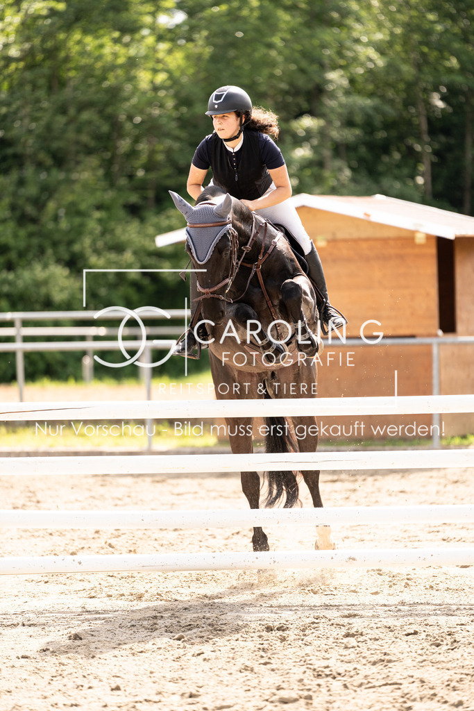 DSC03726 | Turnierfotografin Carolin Gieschke, Turnierfotografie Carolin G Fotografie, Turnierfotos Kirchheim/Teck, Esslingen, Stuttgart, Bodenseekreis