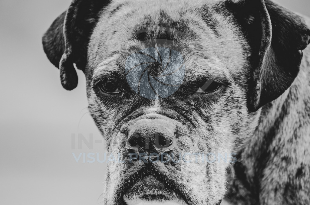 _DSC2351 | in-picture - Realisiert mit Pictrs.com