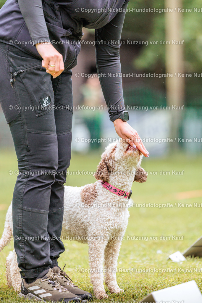 RO-Blumenthal-2026-Nickbest-Hundefotografie-3685 | Dein Hund! Dein Moment! Deine Erinnerungen! Hundefotografie in Bremen Blumenthal. Ich fange die besonderen Momente deines Vierbeiners ein – ob Indoor mit Blitzanlage oder in der freien Natur. Sicher dir dein Moment und dein Termin für eure Erinnerungen.