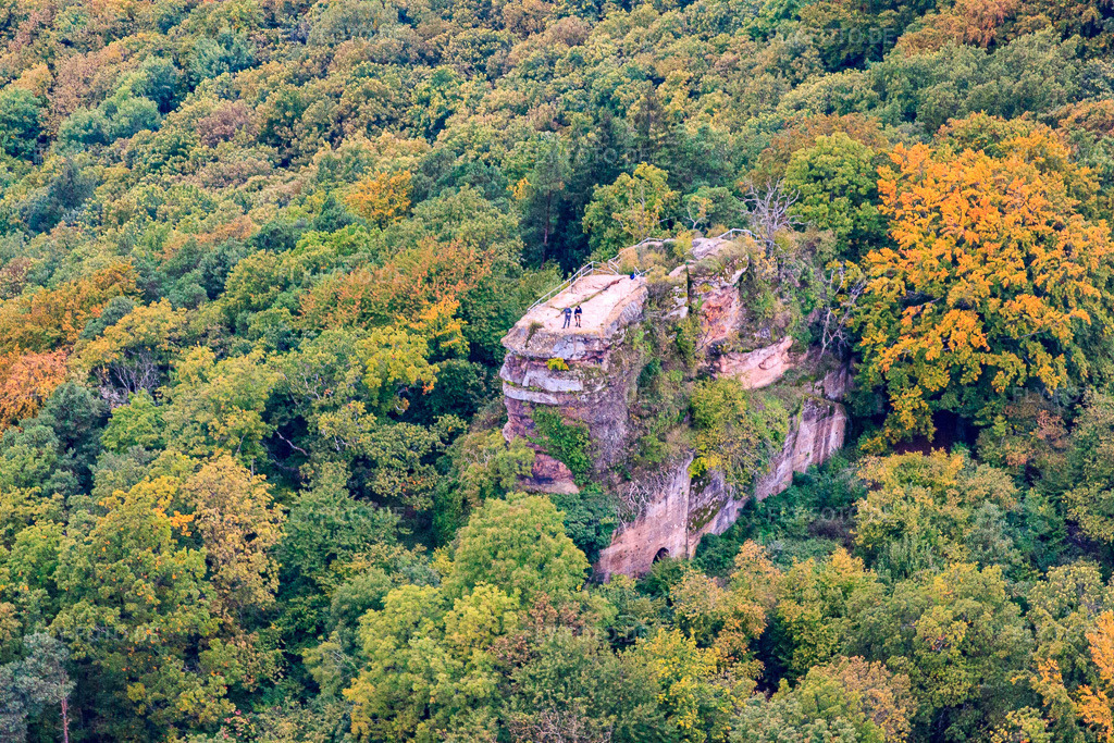 Luftbild: Burgruine Neukastell in Leinsweiler im Bundesland Rheinland-Pfalz in Deutschland. Foto: IMG_60002.jpg vom 08.10.2013 durch Werner Riehm/FLY-FOTO.de