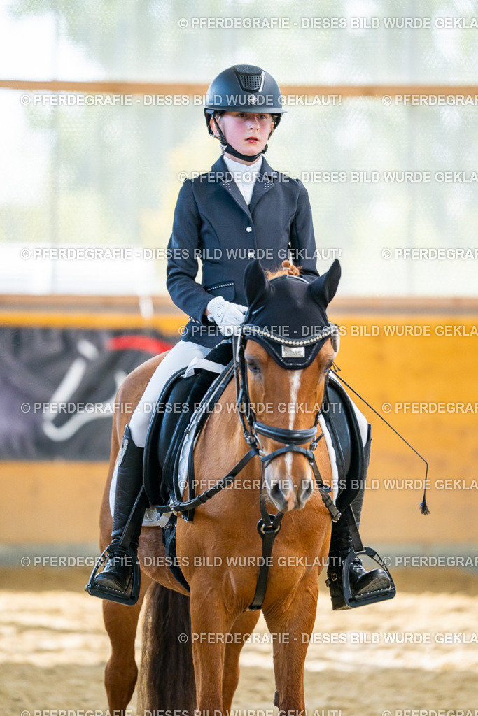 DSC01440 | Pferdegrafie