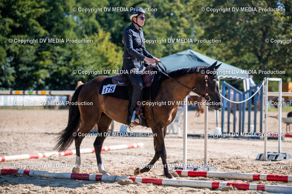 ZS1_0860 | dv-media-shop - Realisiert mit Pictrs.com