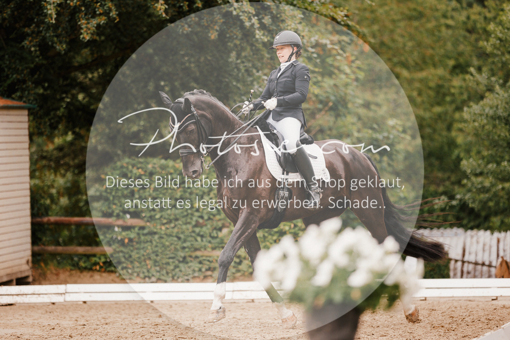 3I6A7707 | Stimmungsvolle Portraits und Reitsportfotografie im Ruhrgebiet und im Münsterland.

Pferdefotografie, Hundefotografie, Tierfotografie, Reportagen, Portraits von Tier und Mensch, Turnierfotografie in Bochum, Recklinghausen, Marl, Haltern am See, Dülmen.. - Realisiert mit Pictrs.com
