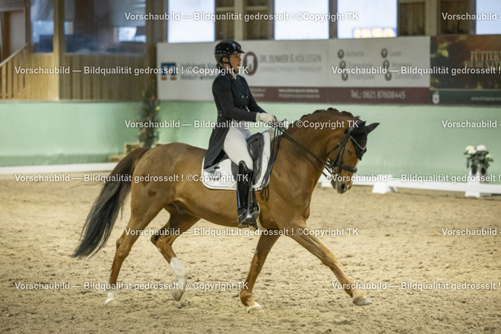 _D5A7293 | Emotionale Pferde- & People-Fotografie rund um Heidelberg, Leimen & Umgebung. Natürliche Fotos von Pferd, Mensch & Familie. Jetzt Termin sichern!