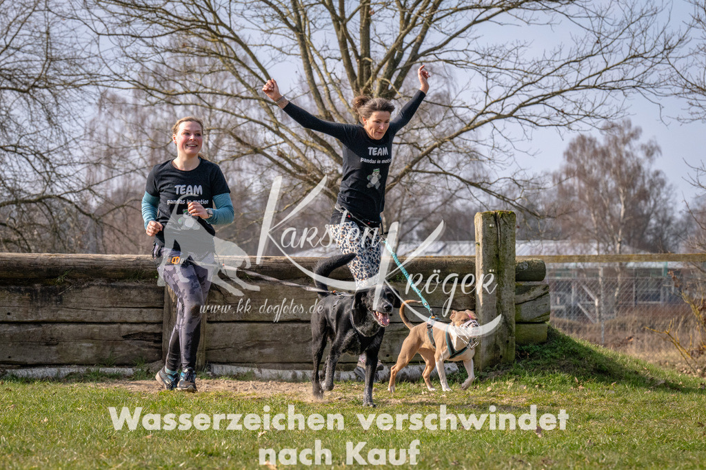 _ZZ90579 | kk-dogfotos