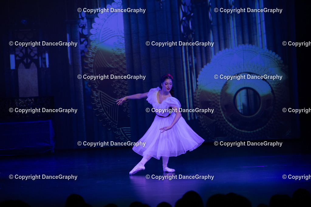 GPHY1573 | DanceGraphy - Realisiert mit Pictrs.com