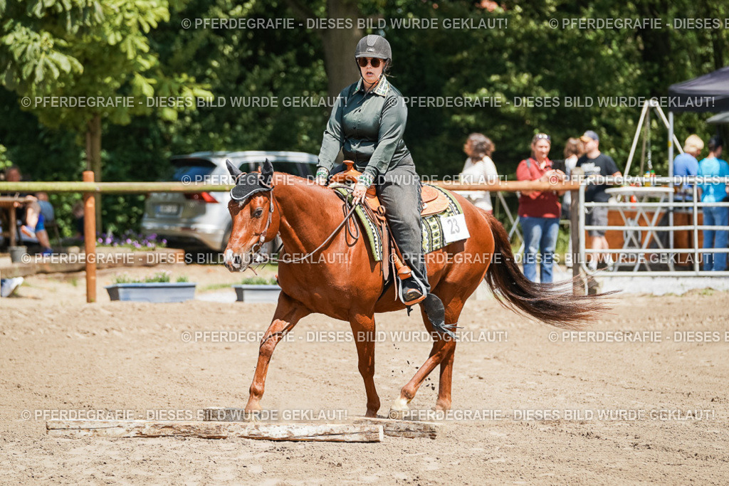 DSC06529 | Pferdegrafie