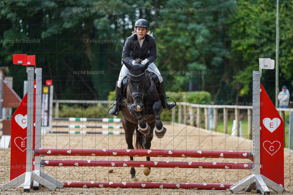 20231008-SN_01109 | Professionelle Turnier- und Reitsportfotografie - mit dem Finger am Auslöser. Pferdebilder aus dem Reitsport von den Turnierfotografen  Bayern , Pferdefotograf Bayern, Pferdeshooting Turnierbilder, Hochzeitsfotograf, Eventfotograf, Hochzeitsbilder