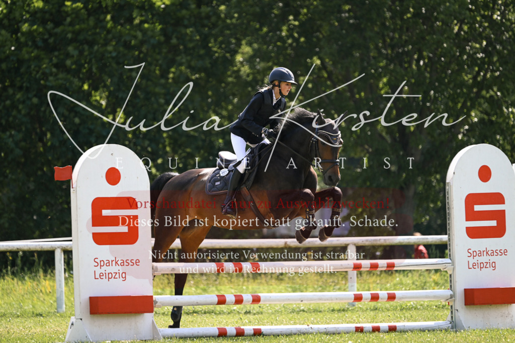 DSC_8957 | Pferde- und Turnierfotografie in Westsachsen. Pferdeportraits, Auftragszeichnungen und intuitive Kunst.