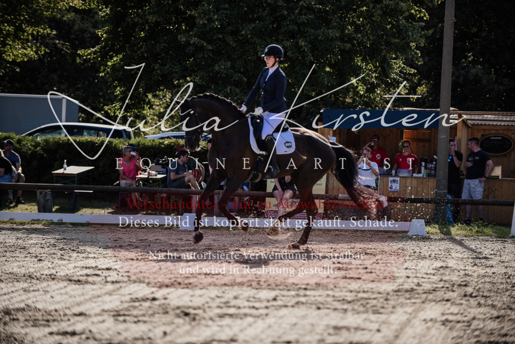DSC_0571 | Pferde- und Turnierfotografie in Westsachsen. Pferdeportraits, Auftragszeichnungen und intuitive Kunst.