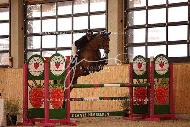 1J2A3353Jasmin Selke-John_ Catharina 16_ Kn094_ Hohen Wieschendorf_ Glantz | Foto- und Videografie für alles rund ums Pferd. Hochwertige Bilder und Videos vom Spring- und Dressurreiten, Voltigieren & mehr. Jetzt aktuelle Veranstaltungen und Preise im Shop ansehen. - Realisiert mit Pictrs.com