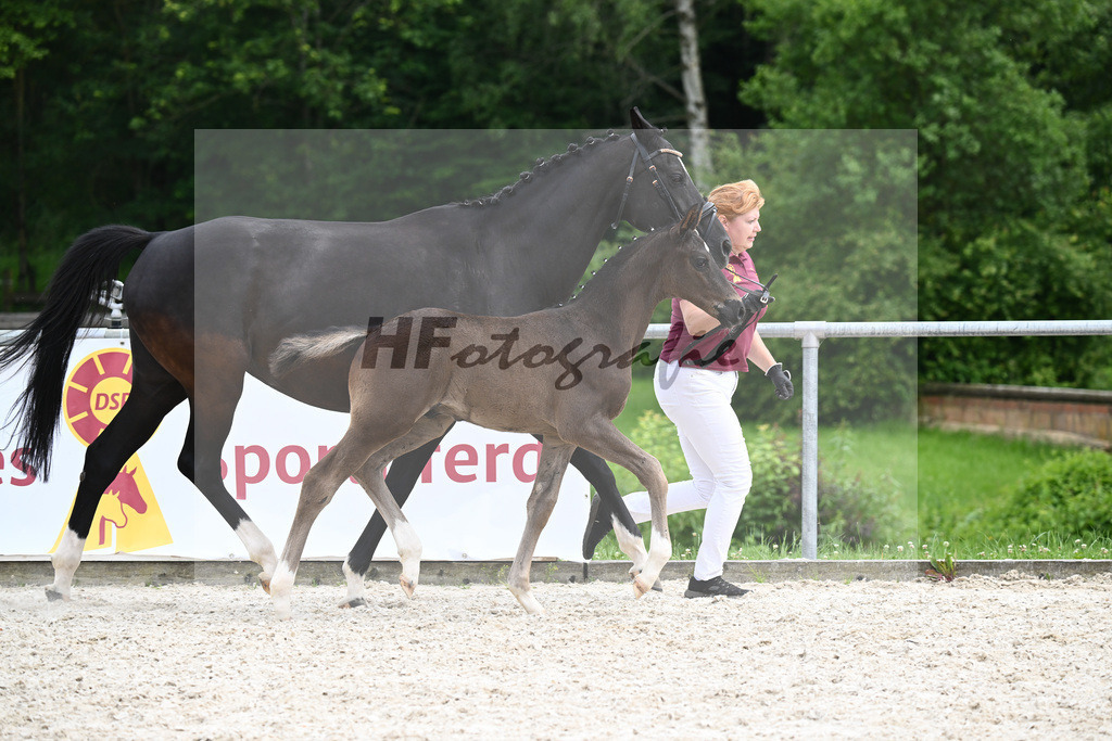 Segantini x Desperados_HF_Kloessinger_20240917 | hf-fotografie - Realizzato con Pictrs.com