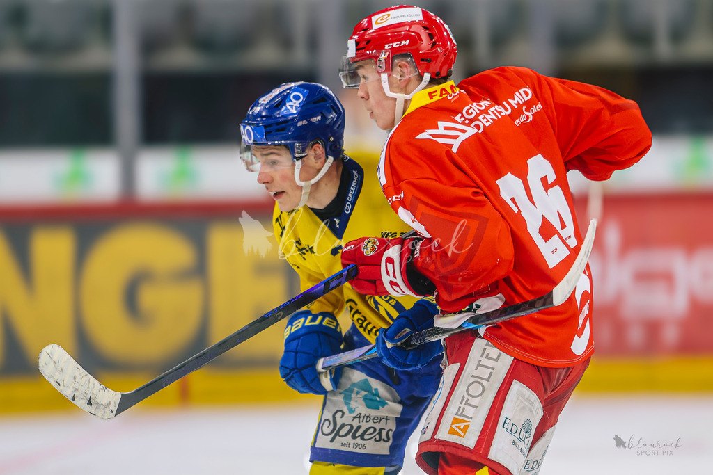 U21_EHCB vs HCD_wb20260308-0535 | Sportbilder, Sportfotograf, Hochzeits- und Eventfotografin, Flugshows, Portraits und Tiershooting, Aviation, Downhill, Nationalleague, Swissleague, International