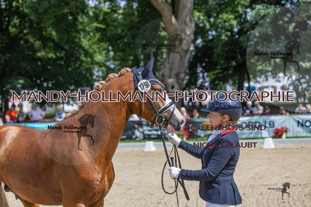 26.725 D2 49 (142 von 854) | mandyhollmannphotographie