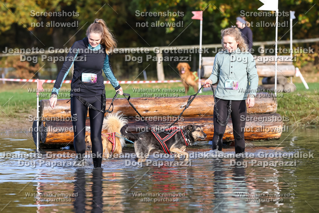 Dog Paparazzi - Strongdog 10-25-8378 | Dog Paparazzi Jeanette Grottendiek Fotografie & Videografie - Realisiert mit Pictrs.com