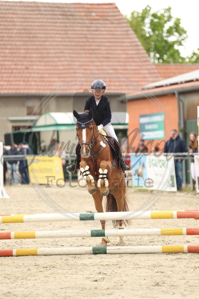 994A8611 | sabrinanicolaifotografie - Realisiert mit Pictrs.com