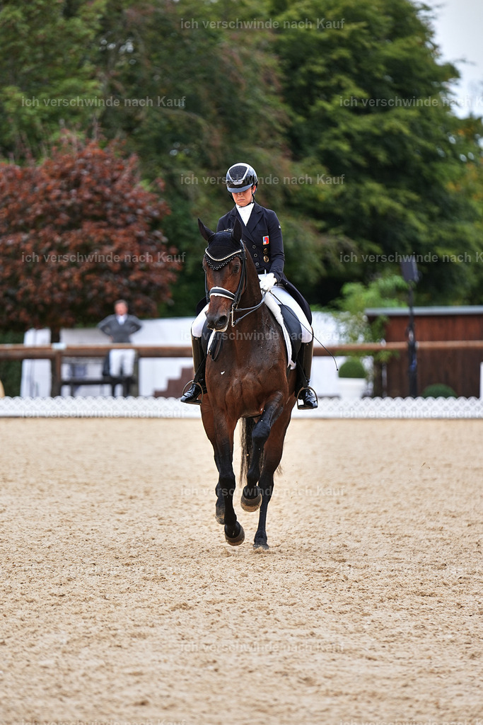 11-110-Dressur S___-Marixx-1543 | working equitationturnier fotograf videograf stoibphotography marixx film working equitation deutschland reitsport turnierfotografie eventfotografie equestrian events