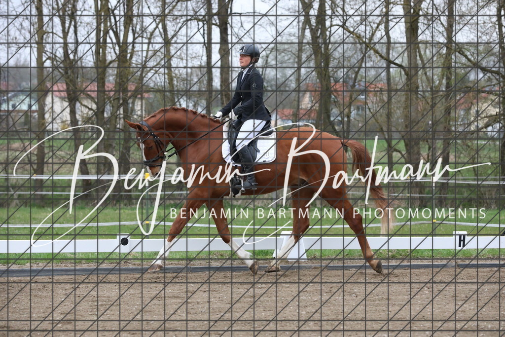 AZ2A7510 | Benjamin Bartmann Photomoments