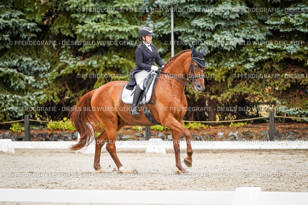 DSC09430 | Pferdegrafie