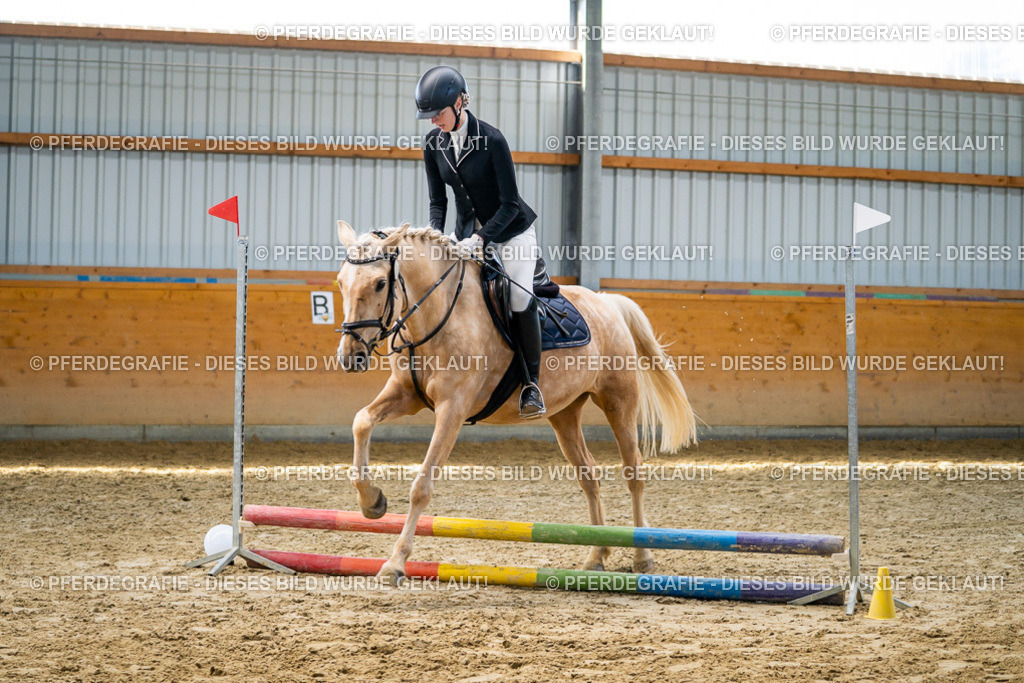 DSC01847 | Pferdegrafie