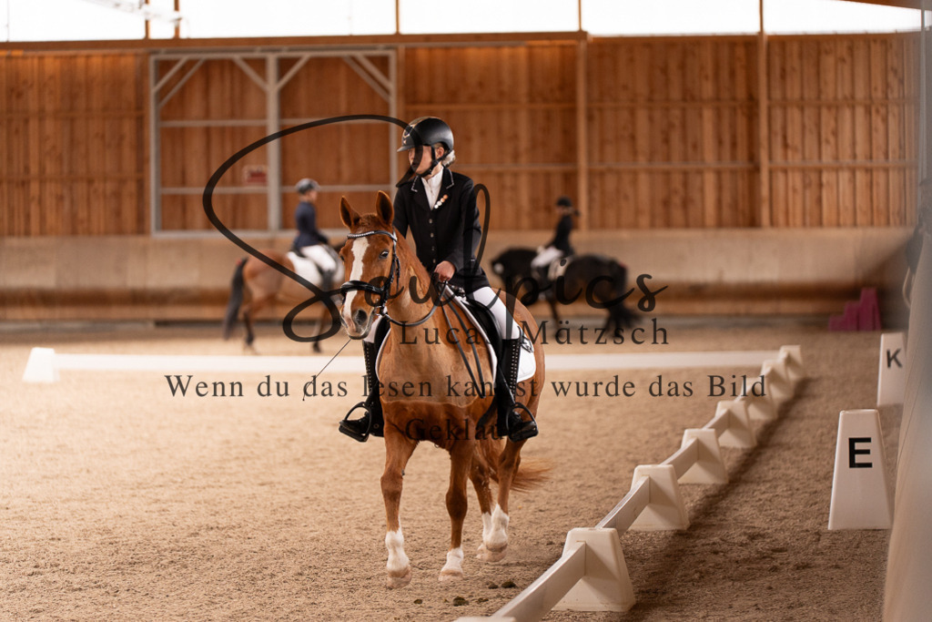 A7506945 | Turnier/Reitfotograf