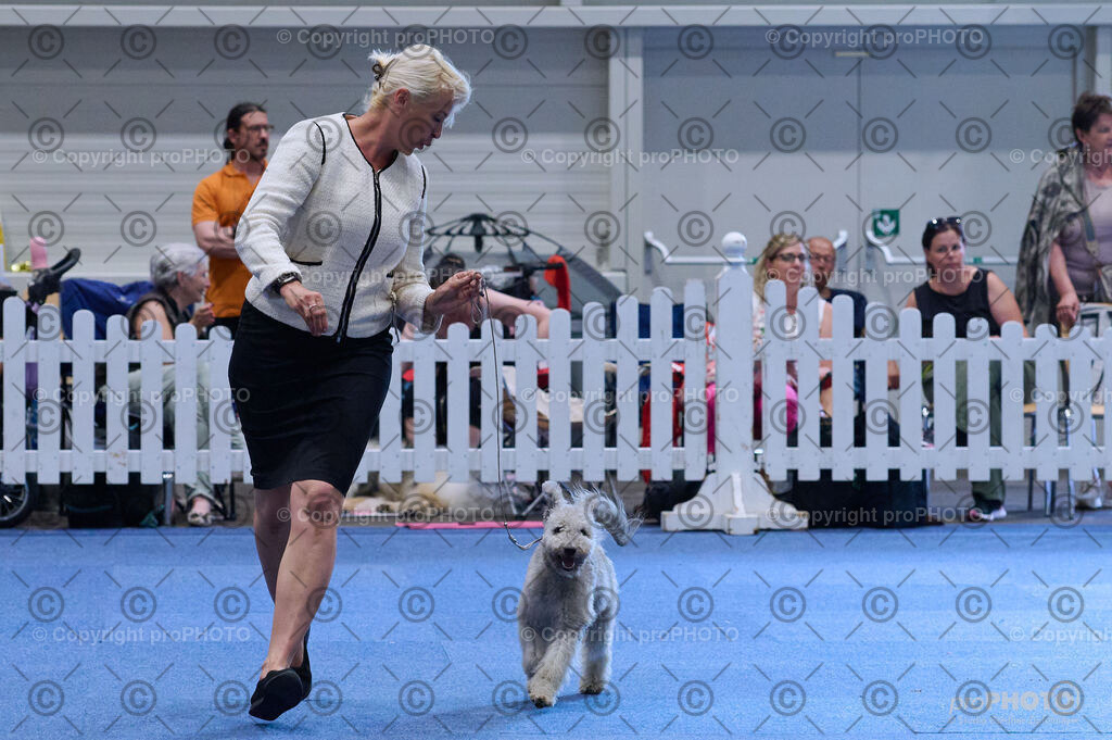 202406_ÖKV-IHA-Tulln24_DSC_3813 | proPHOTO - Realisiert mit Pictrs.com