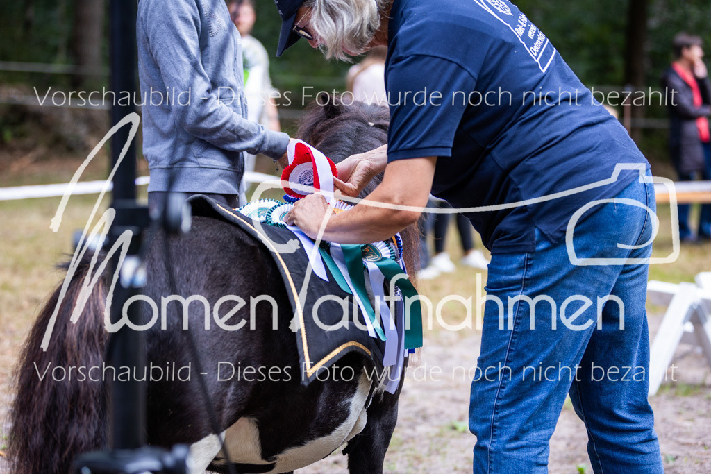 HB-A-Dressur-167 | MomenTaufnahmen Pferdesportfotos