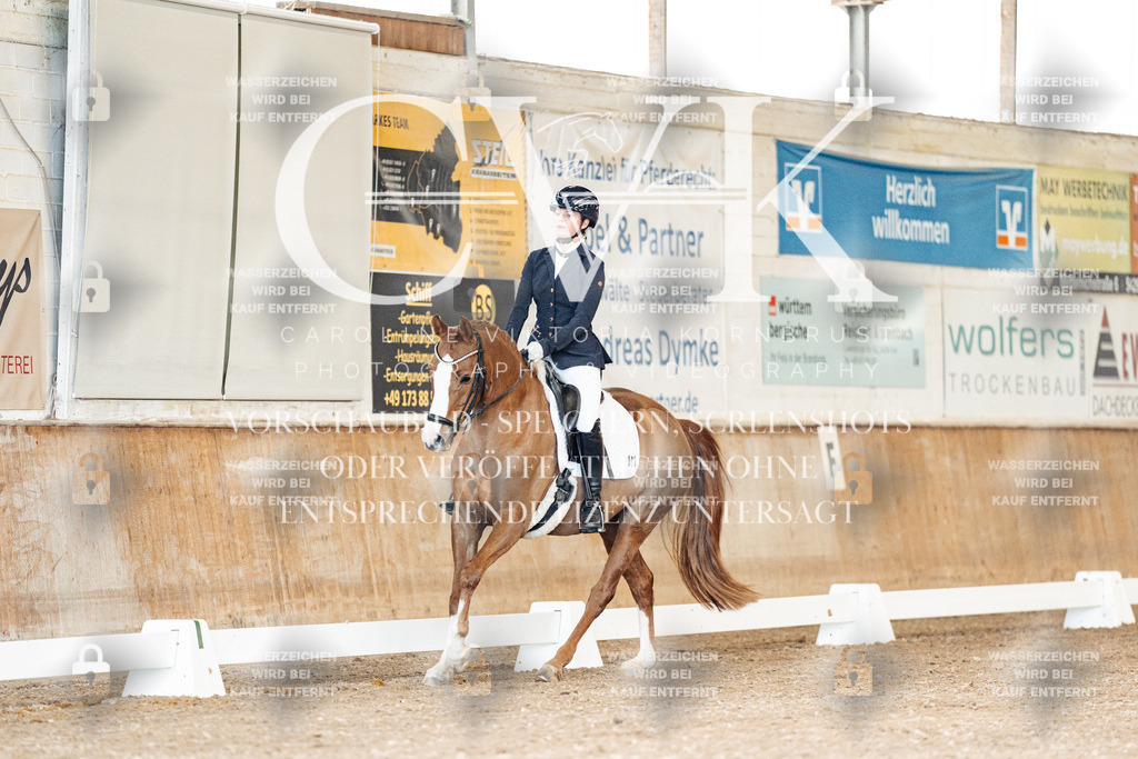 CK900786 | Turnierfotografie Pferdefotografie Trier Rheinland-Pfalz Pferdesport Reitsport Tierfotografie Sportfotografie Pferdevideo Pferdevideografie Equestrianvideography equestrianphotography  - Realisiert mit Pictrs.com