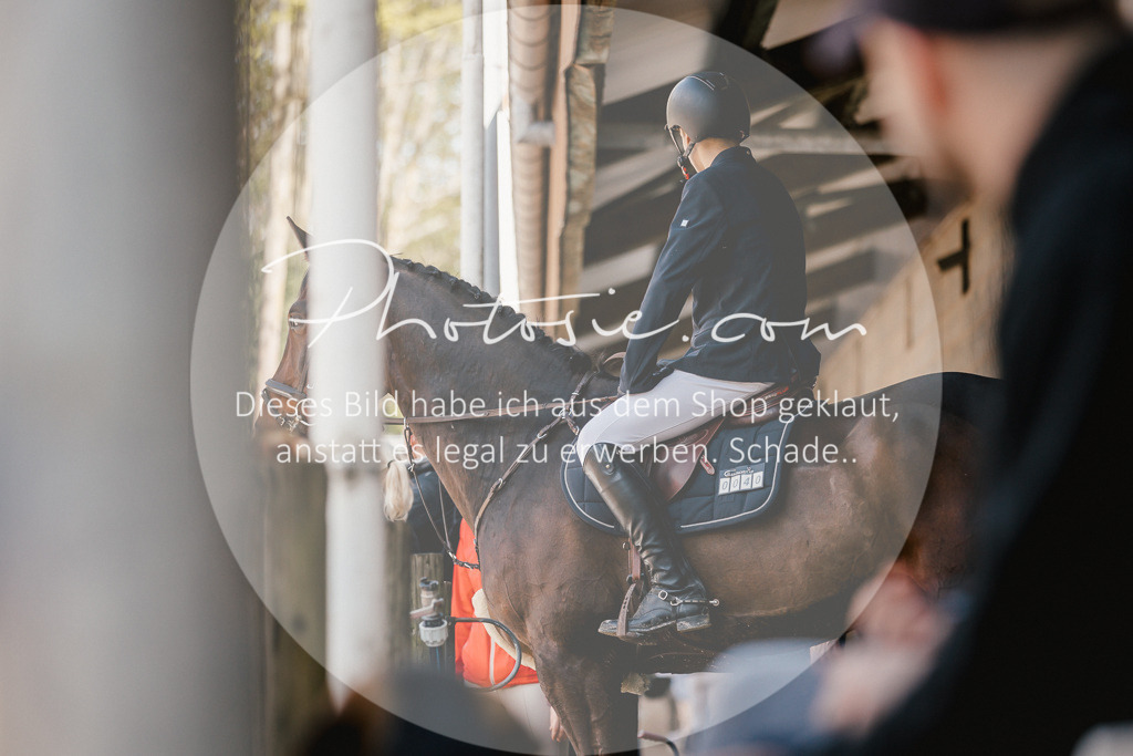 3I6A4043 | Stimmungsvolle Portraits und Reitsportfotografie im Ruhrgebiet und im Münsterland.

Pferdefotografie, Hundefotografie, Tierfotografie, Reportagen, Portraits von Tier und Mensch, Turnierfotografie in Bochum, Recklinghausen, Marl, Haltern am See, Dülmen.. - Realisiert mit Pictrs.com