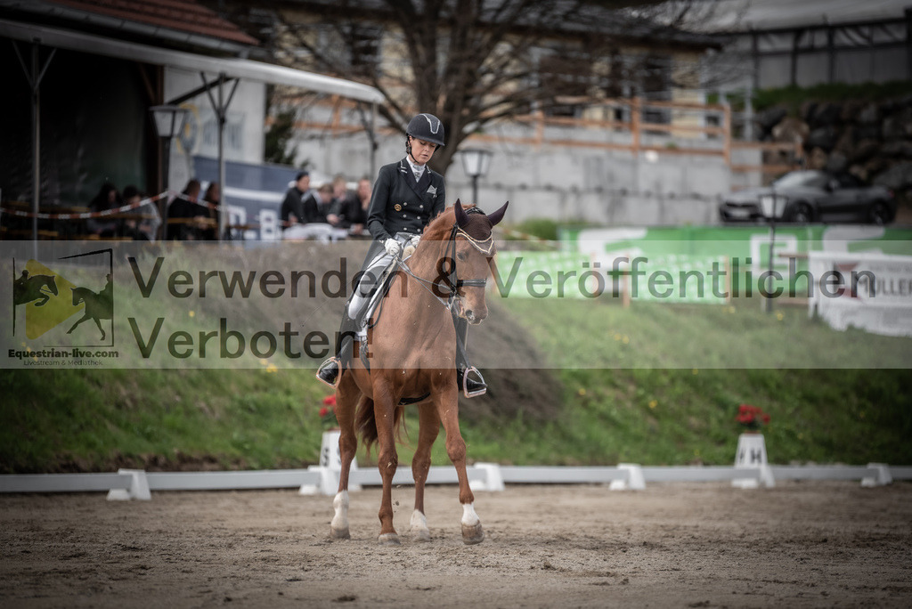 DSC_3112 | equestrian-live-com