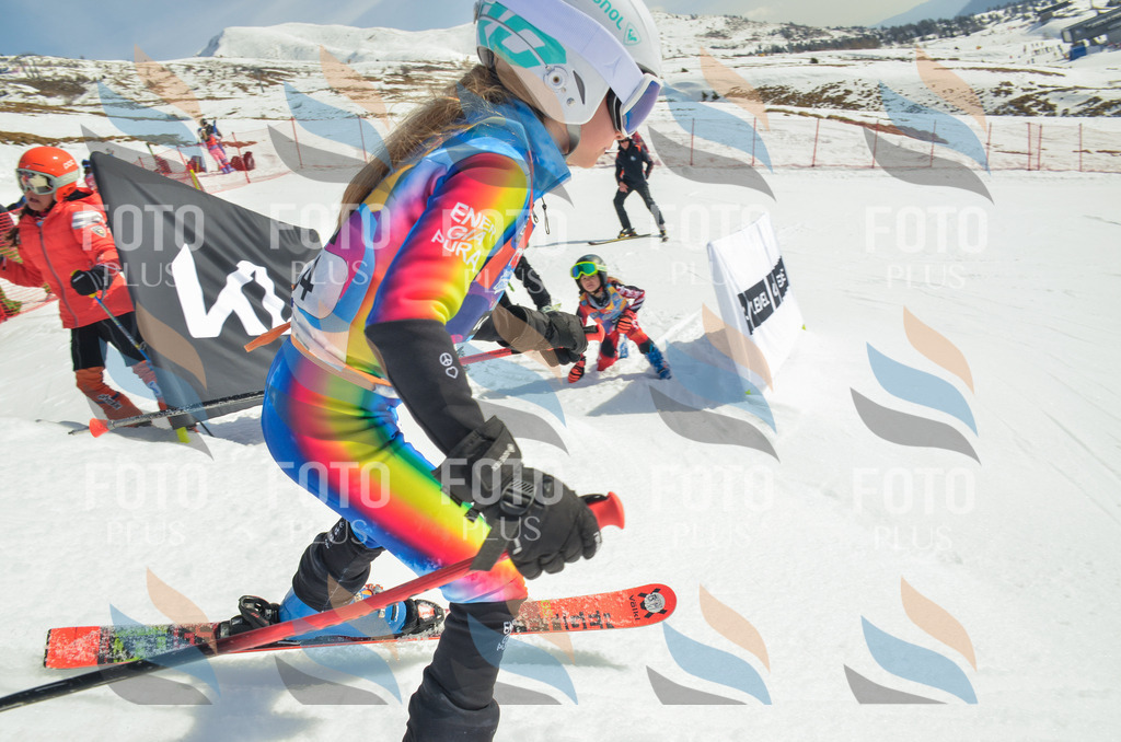 _ELE4936 | holidayphoto