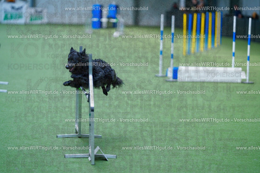 @allesWIRTHgut_Tierfotografie - www.allesWIRTHgut.de - 2604261401-7R503210 | Professionelle Tierfotografie in Mönchengladbach von Daniel Wirth (allesWIRTHgut). Liebevolle & natürliche Bilder von Hunden & Katzen für unvergessliche Erinnerungen.