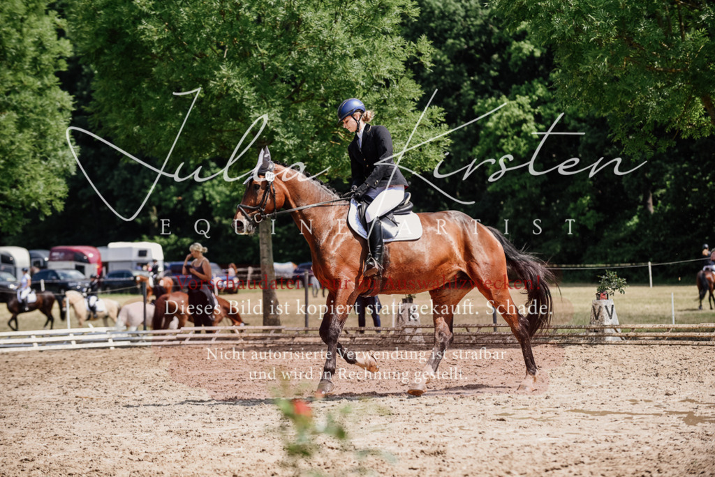DSC_1153 | Pferde- und Turnierfotografie in Westsachsen. Pferdeportraits, Auftragszeichnungen und intuitive Kunst.