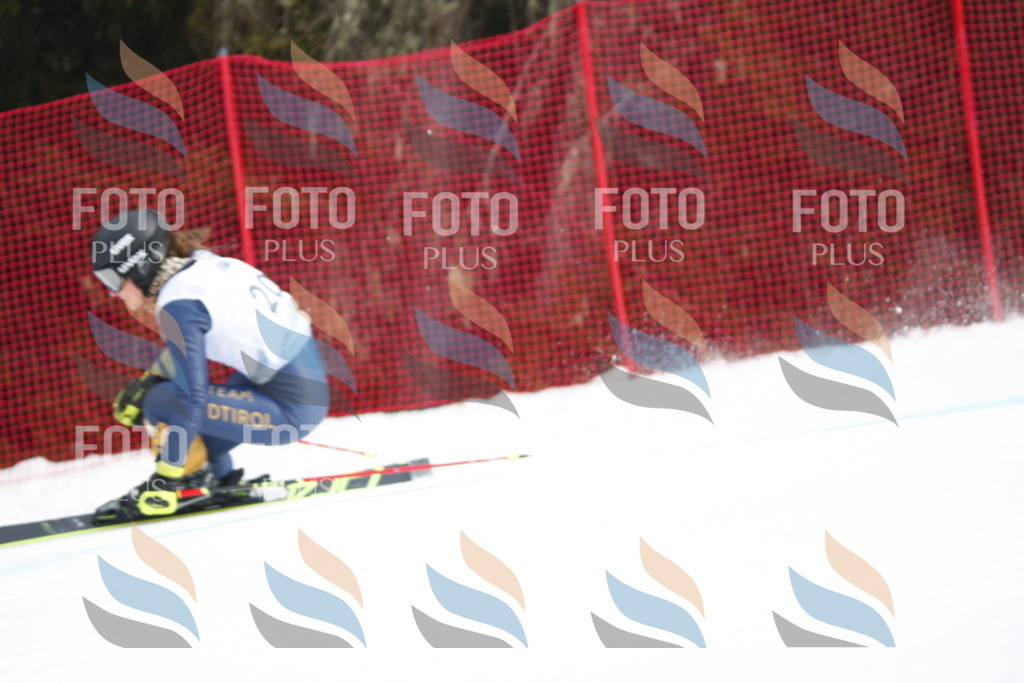 D4862 | holidayphoto