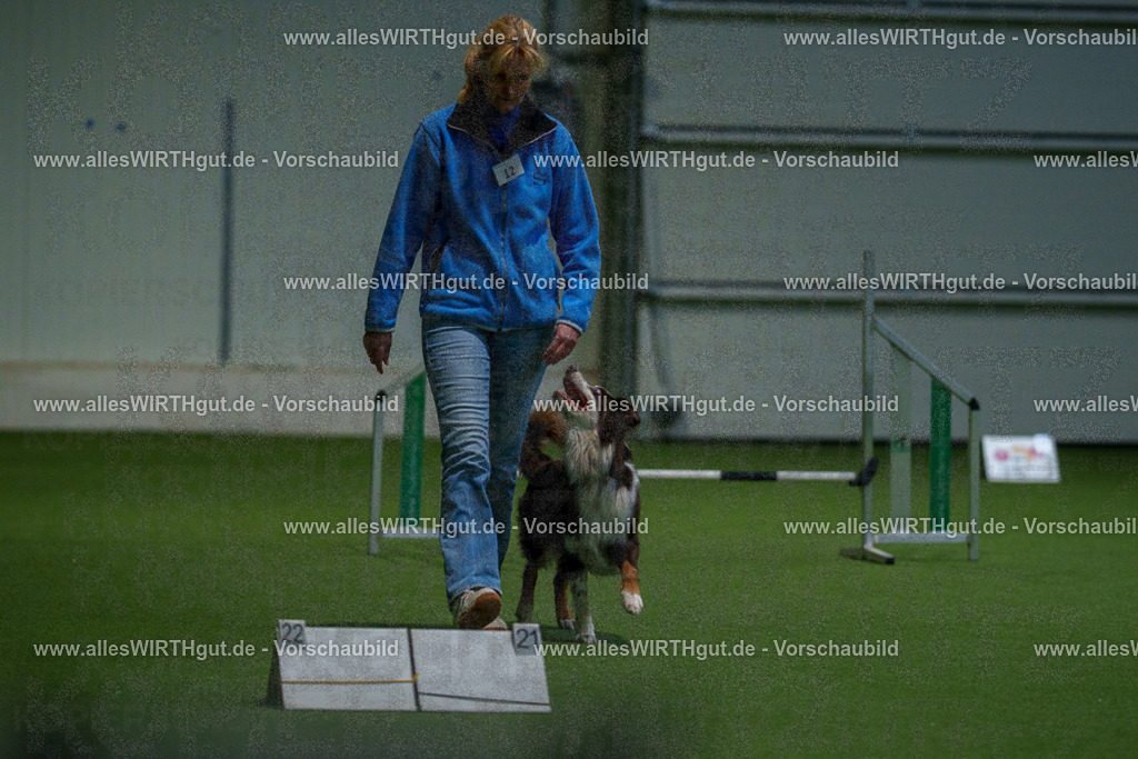 7R505119 | Professionelle Tierfotografie in Mönchengladbach von Daniel Wirth (allesWIRTHgut). Liebevolle & natürliche Bilder von Hunden & Katzen für unvergessliche Erinnerungen.