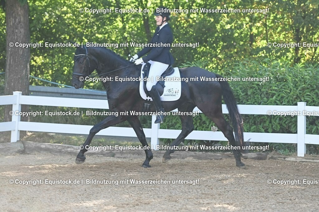 20230715_06_Dressurpferdeprfg. Kl.A_0009 | equistock