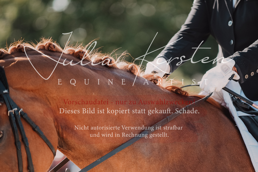 DSC_0441 | Pferde- und Turnierfotografie in Westsachsen. Pferdeportraits, Auftragszeichnungen und intuitive Kunst.