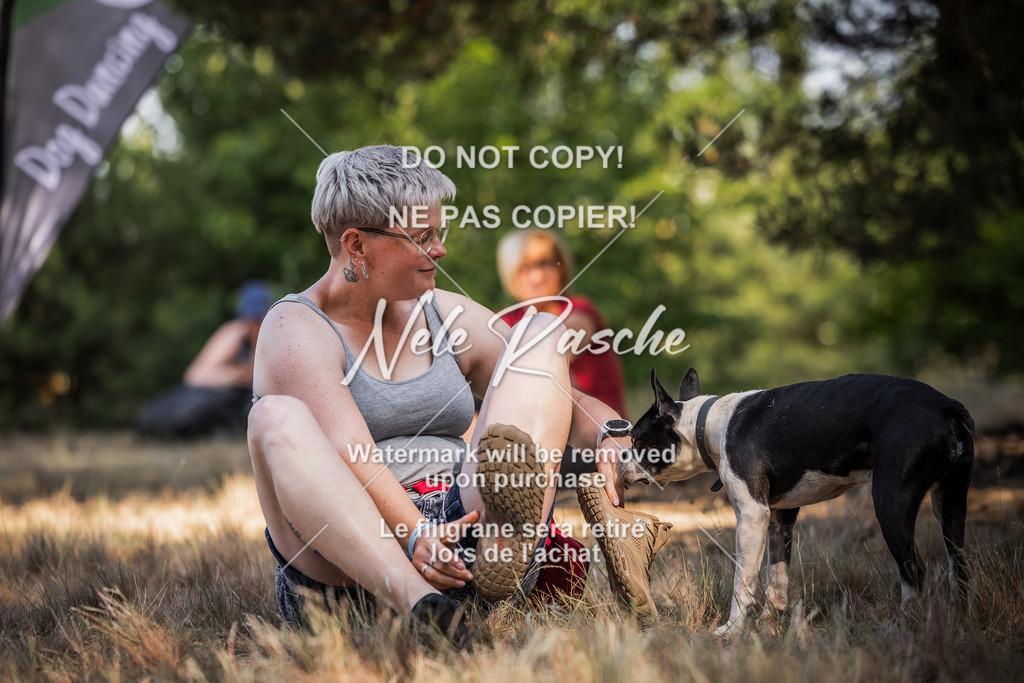 nelerasche_soDD1_234 | nelerasche