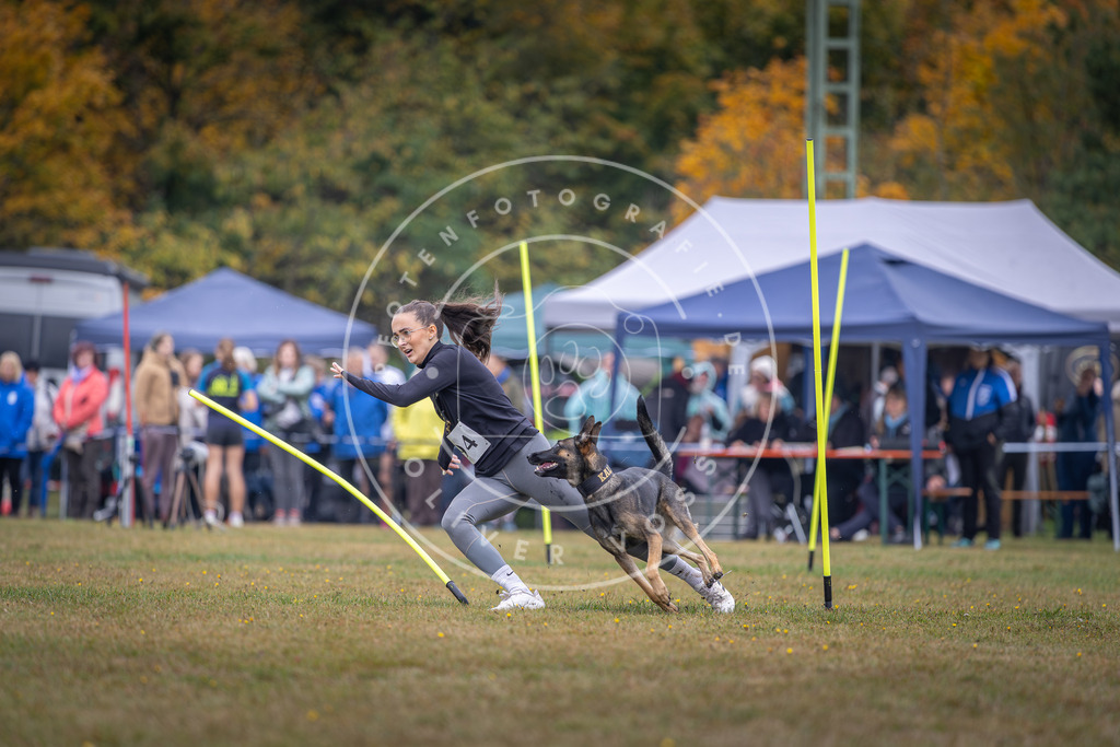 Pfotenfotografie_DV3A0961 | Hundefotografie, Tierfotograf, Pfotenfotografie, Fotoshooting Hund, Hunde Portrait, Hundesport, Hundeportraits, Heideshooting, Hunde, Sportfotograf, Hundefotograf, Turnierhundsport, THS,  - Realisiert mit Pictrs.com