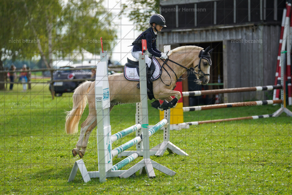 20230917-FAH09147 | Landsberg am Lech, 2023, Kaufbeuren, Kempten, Allgäu, Turnierfotografen Bayern, Fotoagentur Herrmann, Turnierbilder, Reitsport Fotos, Pferdefotograf, Augsburg, Bad Tölz, Dachau, Karlsfeld, Memmingen, Buchloe, Schwabmünchen