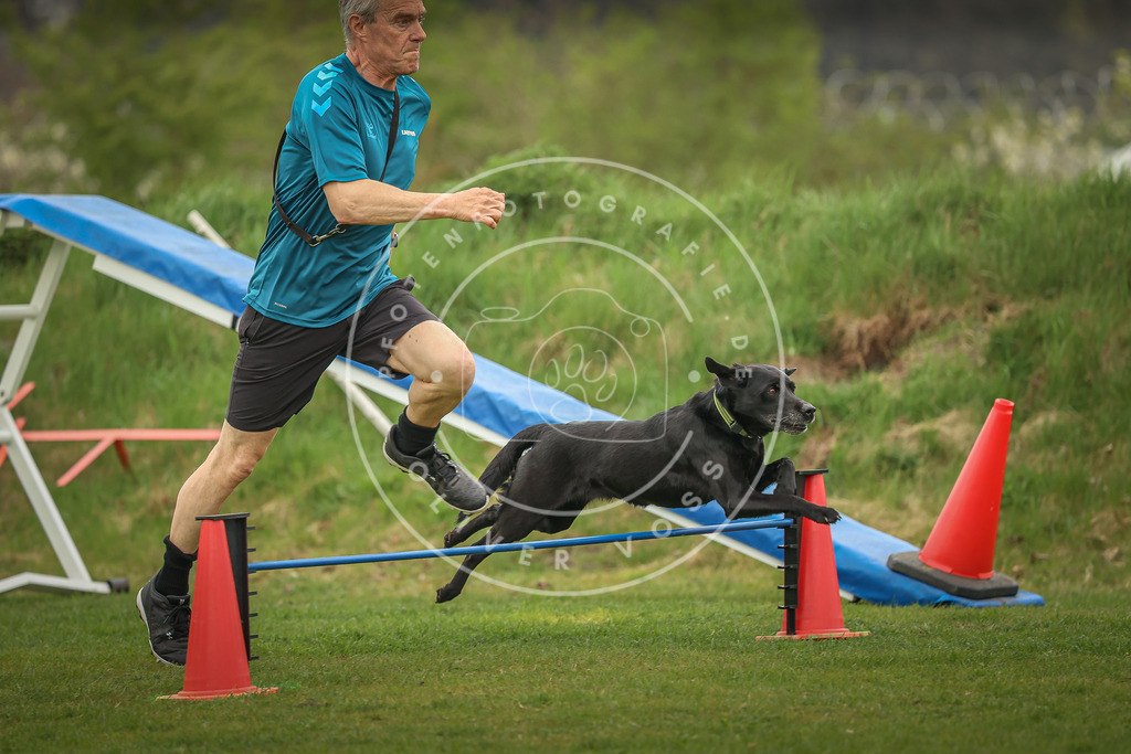 Pfotenfotografie_0L8A0608 | Hundefotografie, Tierfotograf, Pfotenfotografie, Fotoshooting Hund, Hunde Portrait, Hundesport, Hundeportraits, Heideshooting, Hunde, Sportfotograf, Hundefotograf, Turnierhundsport, THS,  - Realisiert mit Pictrs.com