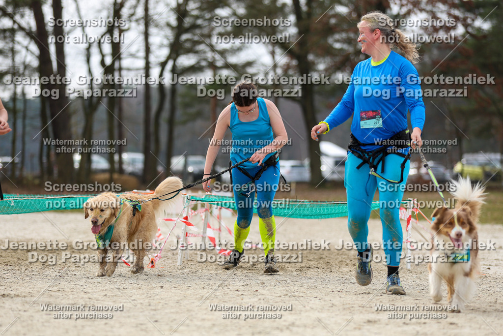 Dog Paparazzi - Strongdog North Mrz26-5729 | Dog Paparazzi Jeanette Grottendiek Fotografie & Videografie - Realisiert mit Pictrs.com