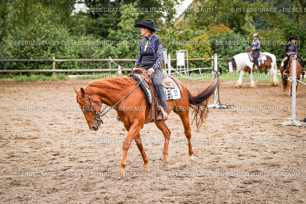 DSC05043 | Pferdegrafie